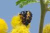 39697 – Photo : OCIS – Sénégal
