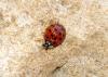 39731 – Photo : Emmanuel Freri – France (37)