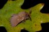 39791 – Photo : David Demerges – France (83)