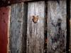 39522 – Photo : David Guedon – France (76)