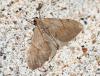 39812 – Photo : Emmanuel Freri – France (37)