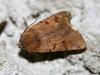 39831 – Photo : Emmanuel Freri – France (37)