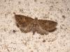 39983 – Photo : Emmanuel Freri – France (37)