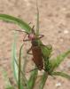 39844 – Photo : OCIS – Sénégal