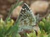 39853 – Photo : Anthony Jugele – France (04)