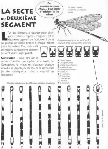 Indéterminé
