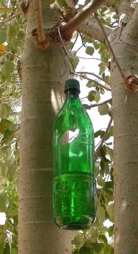 Odorant aero-bouteille