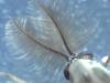 4100 – Photo : ng – France (33)