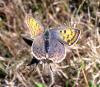 4296 – Photo : Jean-Yves Malmasson – France (15)