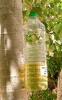 4340 – Photo : Anonyme – NR