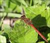 40026 – Photo : Kriznar Lucie – France (06)