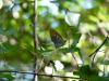 40441 – Photo : Co – France (07)
