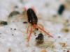 40356 – Photo : Guillaume JACQUEMIN – France (21)