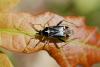 40225 – Photo : Sebastien Damoiseau – France (94)