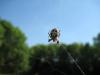 40761 – Photo : clovis – France (62)