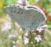 40860 – Photo : Gilles Roux – France (75)
