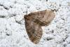 40494 – Photo : Emmanuel Freri – France (37)