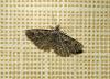 40266 – Photo : Emmanuel Freri – France (37)