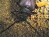 40794 – Photo : Marc Morel – Madagascar