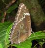 40158 – Photo : Christophe Girod – Guyane française
