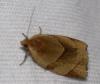 40676 – Photo : Edith Armange – France (36)