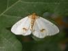 41681 – Photo : Petit Vincent – Croatie