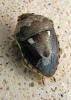 41420 – Photo : Anne Forgues – France (11)