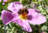 41565 – Photo : Gilles Roux – France (75)