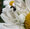 41484 – Photo : Gilles Roux – France (75)