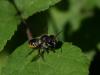 41119 – Photo : Mael Garrin – France (24)
