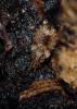 42046 – Photo : Sebastien Damoiseau – France (94)