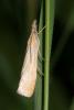 42750 – Photo : Liboupat – France (05)