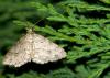 42016 – Photo : Picq Christophe – France (17)