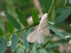 42670 – Photo : Mael Garrin – France (12)