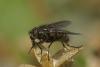 42538 – Photo : jean-claude bernard – France (29)
