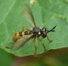 43144 – Photo : Jean Luc Kerveadou – France (29)