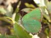 43195 – Photo : Arnaud Jean-Pierre – France (11)