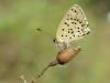 43128 – Photo : Olivier Bouteleux – France (24)