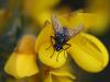 43107 – Photo : Mael Garrin – France (35)