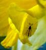 43359 – Photo : christine le fur – France (91)
