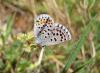 43862 – Photo : Cecile Bassaglia – France (84)
