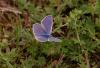 44686 – Photo : Michel Ehrhardt – France (68)