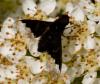 44942 – Photo : Pierre Duhem – France (75)