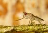 44608 – Photo : Vincent Lefebvre – France (78)
