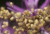 44599 – Photo : Daniel Pollen – Suisse