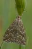 44900 – Photo : pendruc – France (83)