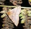 44824 – Photo : Sophie Leguil – Belgique