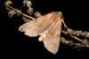 44419 – Photo : Emmanuel Freri – France (37)