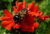 44861 – Photo : Gilles Roux – France (75)