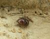 44676 – Photo : KOMEZA Nicolas – Espagne